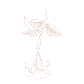 Untitled design (8).png