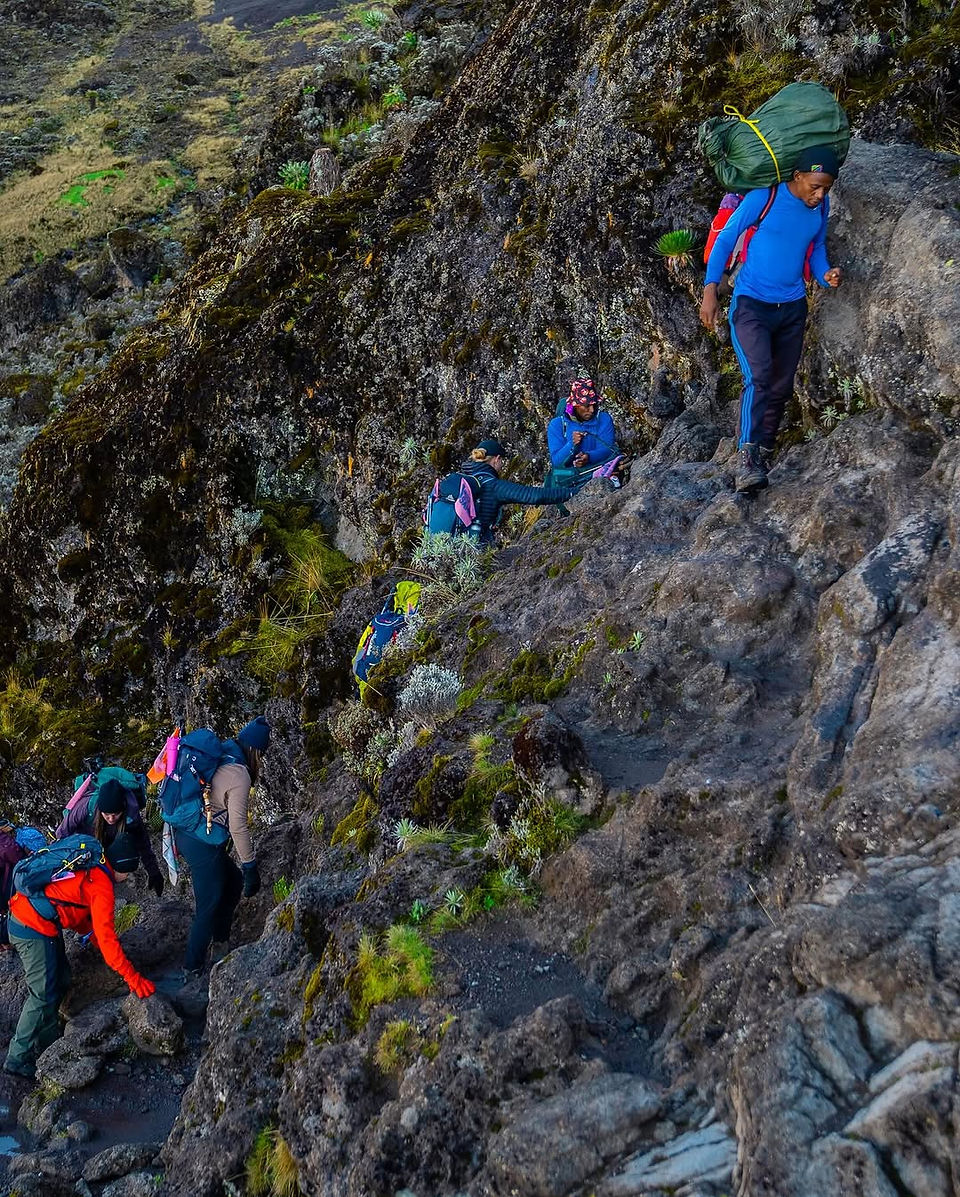 Trekkers carefully navigating a rocky section of the Kilimanjaro trail, led by experienced porters carrying supplies.