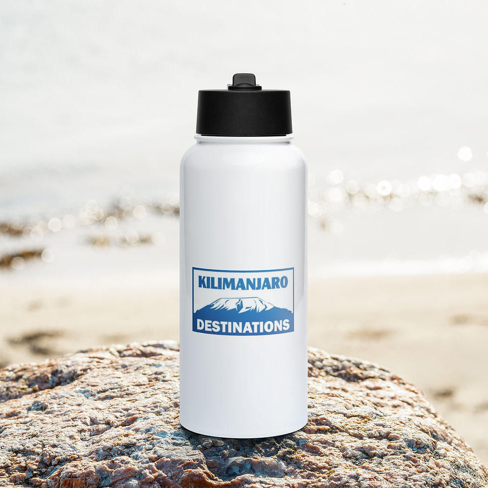 Thumbnail: Stainless steel water bottle with a straw lid