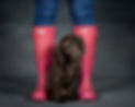 Dexter pink wellies sat head tilt -0394.
