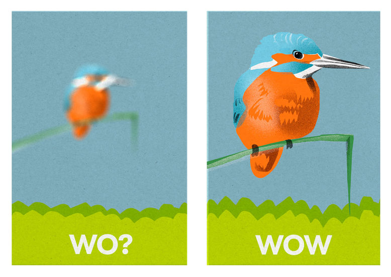Der-Illustrator-Roost-Wo-Iisvogel.jpeg
