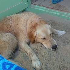 Lotta im Sand