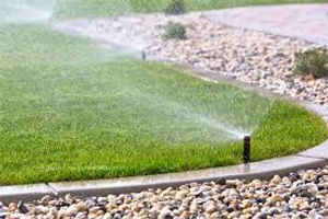 irrigation.jpeg