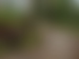 O QUE TEM ATRÁS DA CURVA?