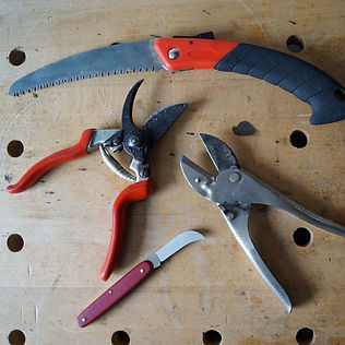 Small pruning tools - a curved saw for b