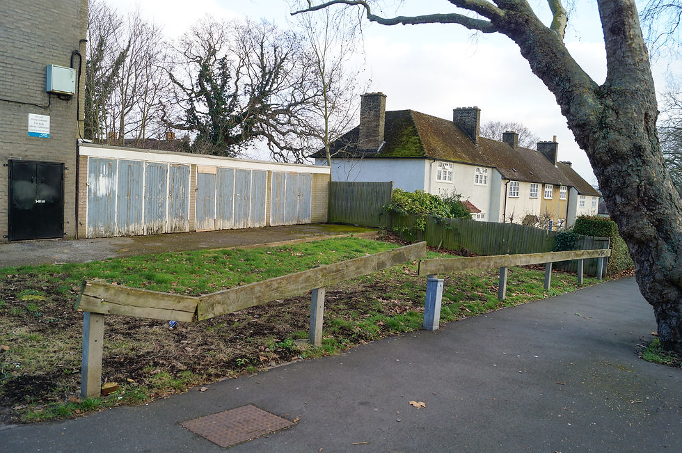 Site for mixed native hedge, Hillcrest, Sunray Avenue