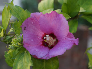 July 2020: Street leaders wanted