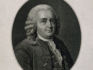 Carl Linnaeus line engraving