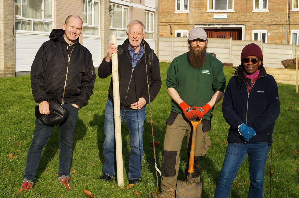 Orchard planting at Hillcrest. Left to right - Ernst Erasmus, Paul Millington, Dash D'Arcy from Glendale contractors, Sandra Joseph