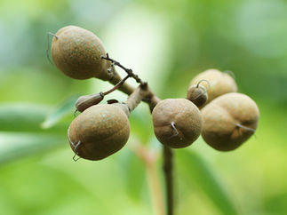 September 2020: Into autumn