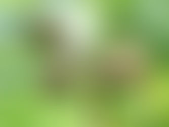 September 2020: Into autumn