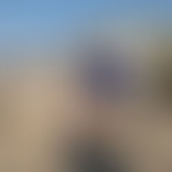 Finding Pet-Friendly Apartments in Alanya can be struggling!