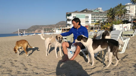 Finding Pet-Friendly Apartments in Alanya can be struggling!