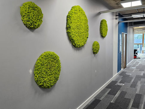 University of Nottingham International College Gets Funky with Greener Vibes!