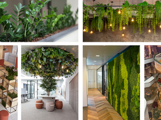 Funky Yukka will be exhibiting at the Workspace Design Show 2026