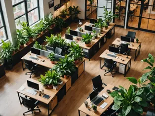 How Nature-Inspired Designs Improve Workplace Productivity
