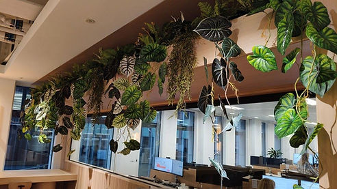 Planted ceiling