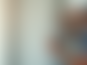 Ensuring Safety with Comprehensive Property Inspections