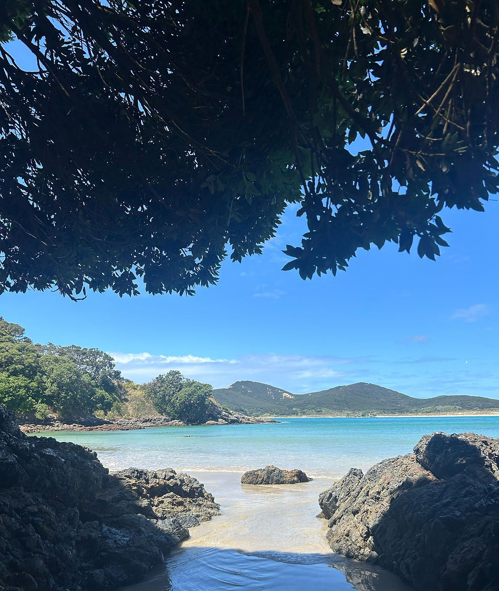 Beautiful Waikato Bay