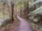 Meandering and peaceful walk, surrounded by nature