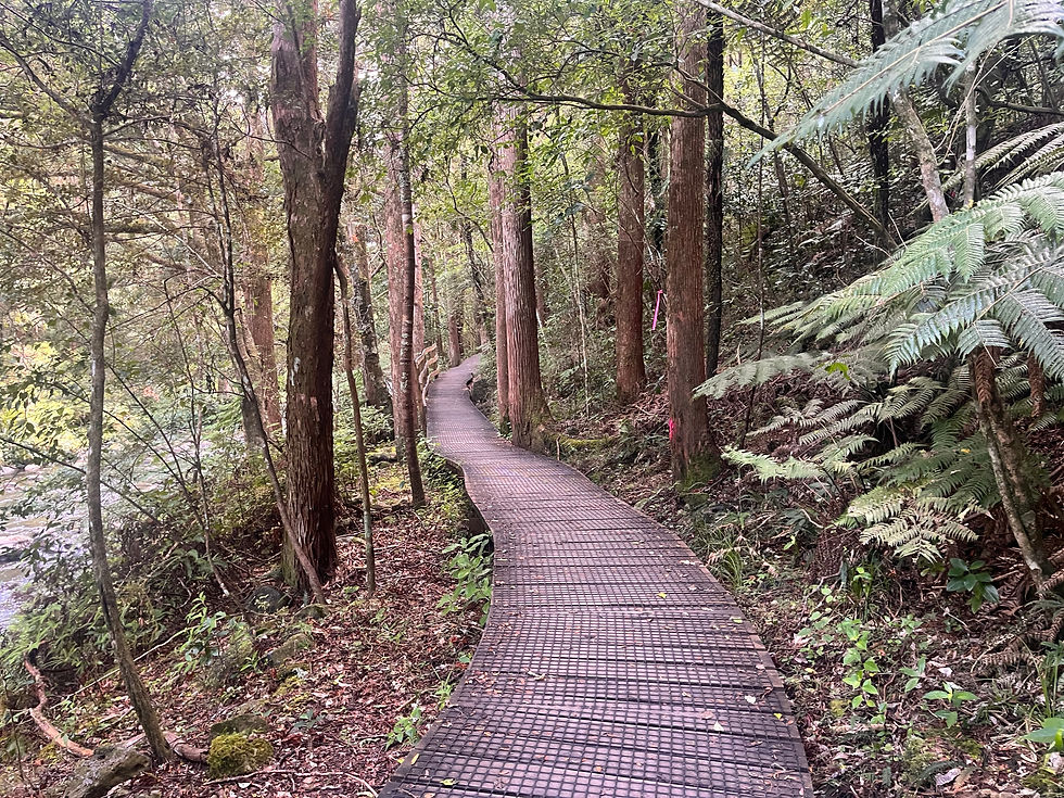 Meandering and peaceful walk, surrounded by nature