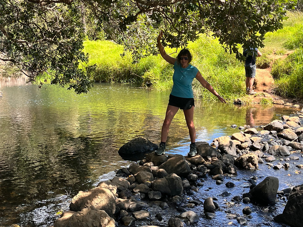 Crossing one of three streams along the track
