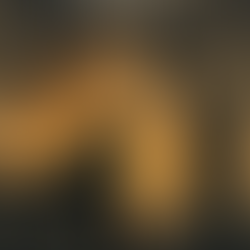 Silhouette of a distressed police officer sitting on a bench at sunset while another person stands holding a sign reading ‘Nothing About Us Without Us’. The image symbolises mental health advocacy for New Zealand police workers. Text overlay reads ‘Support. Protect. Advocate.’ with a tagline about advocacy for police mental health and NZ charity work.