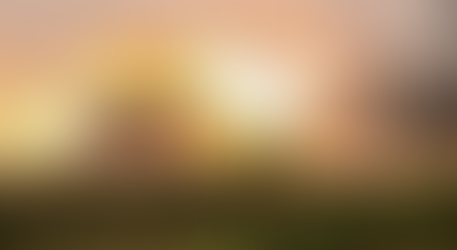 Five dead in crash near Hamilton, SH3 closed in Ōhaupō, Waikato