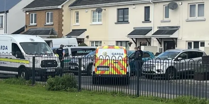 Dublin deaths 'being treated as murder-suicide'