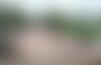 Toumba Diakité, principal figure in 2009 massacre in Guinea, has died