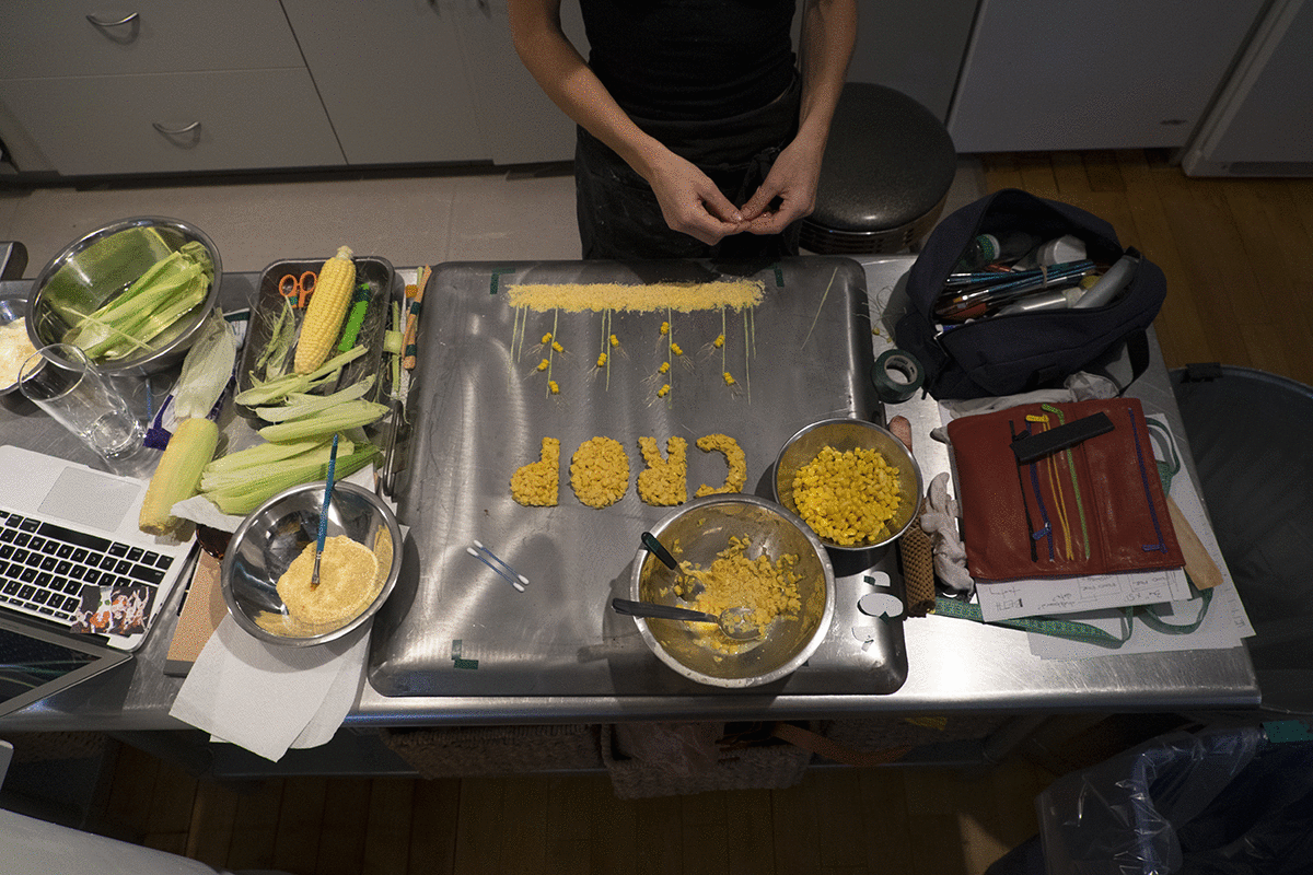 Edible Idioms Food Illustration Series GIF Backstage BTS