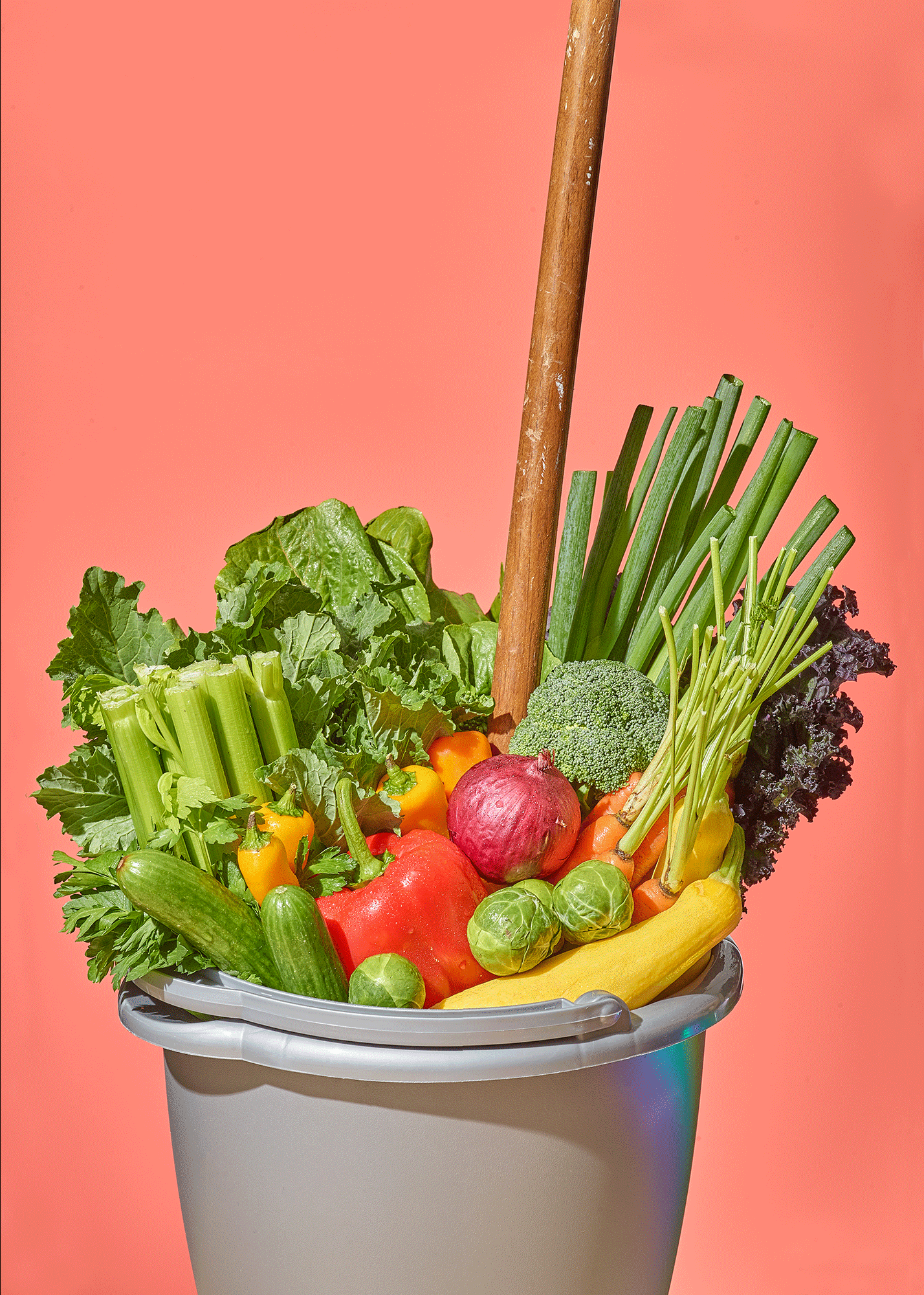 SCRUBBED Conceptual Food Photography Series