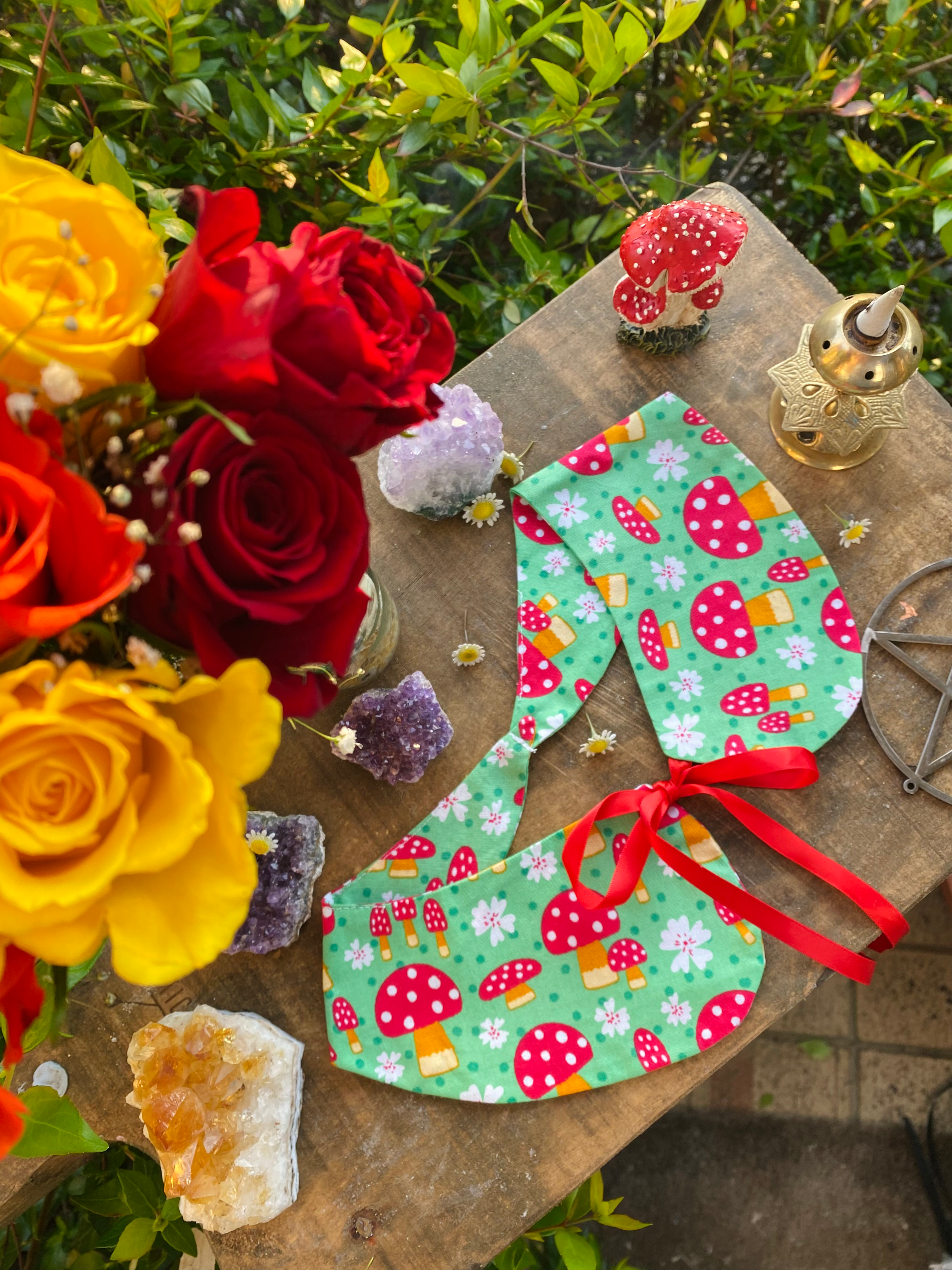 Mushroom Magic Collar