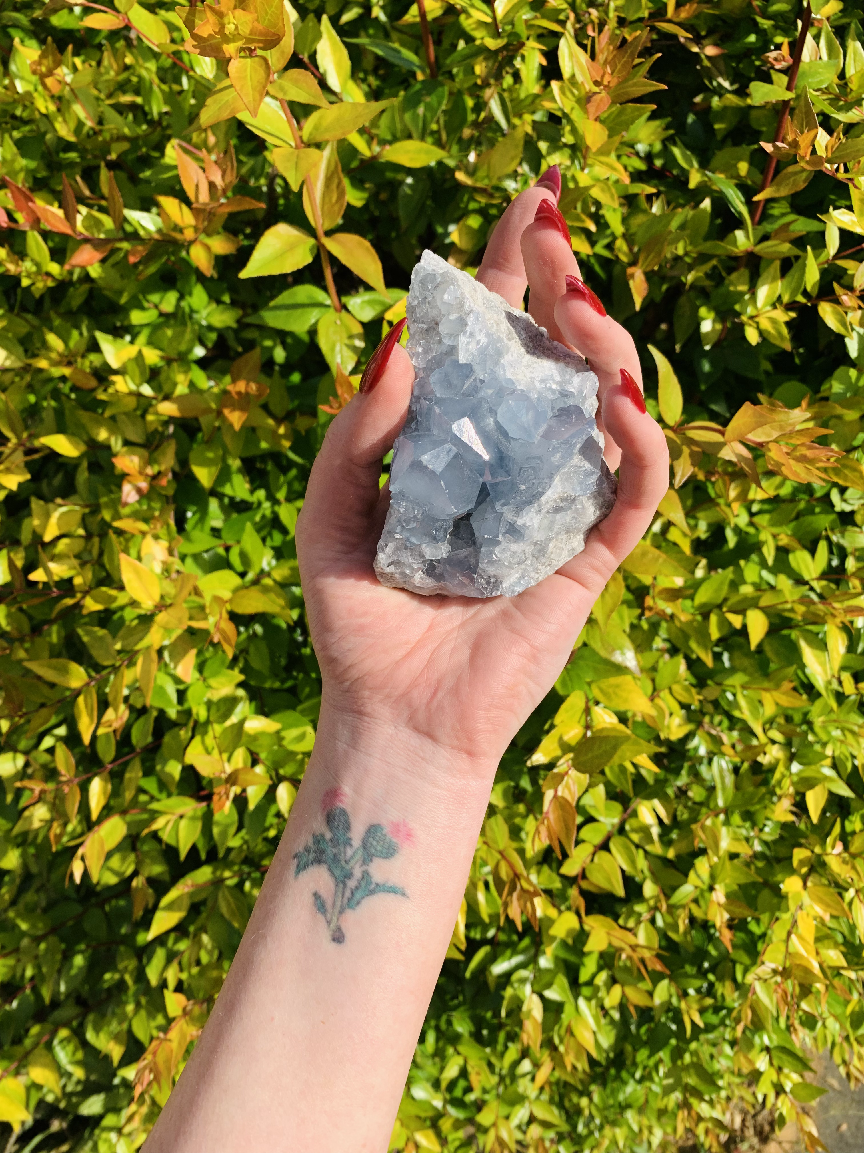 Heavenly Celestite Cluster