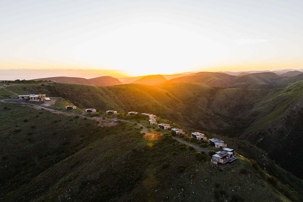 Terra Nova Create Flagship project, Hiddn in Addo