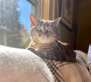 IMG_8195 (1)_edited.jpg