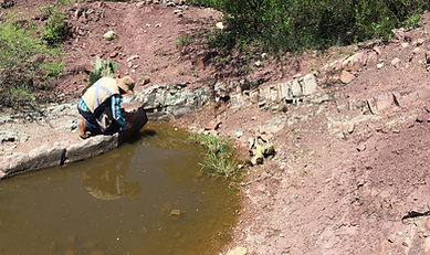 Untitled design (14).png