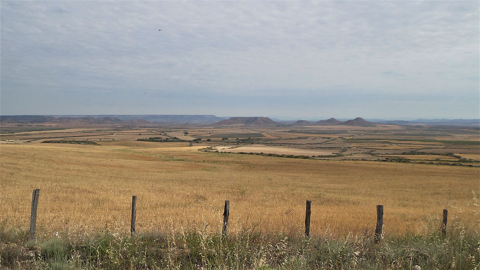 Bardenas Reales