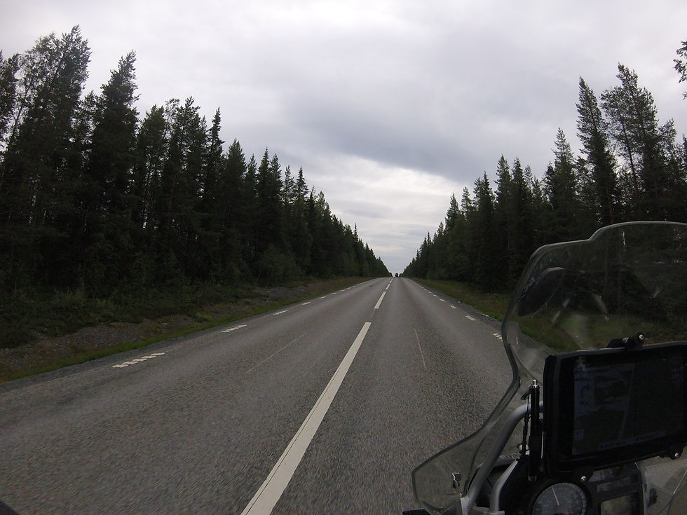 E45 avec des arbres