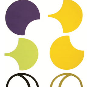 O canário e o papagaio de cabeça roxa.png