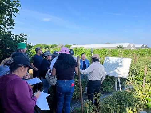 Imagen de WhatsApp 2025-11-07 a las 14.13.09_922e93df.jpg