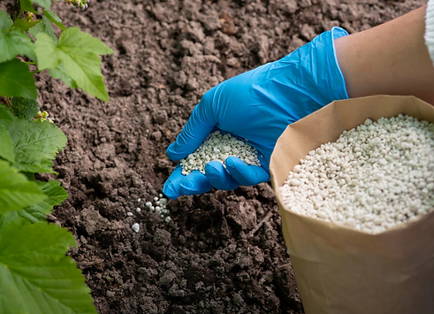 Captura de pantalla 2025-11-23 202239.png