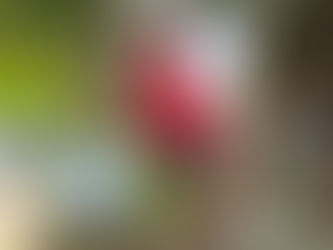 Put Ecuador on your bucket list