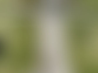 Ecuador and the 2 equators?