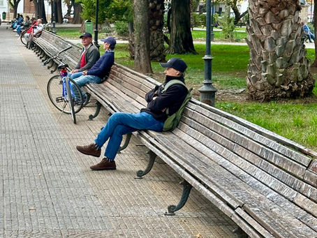 The world’s longest park bench and a steers armpit?