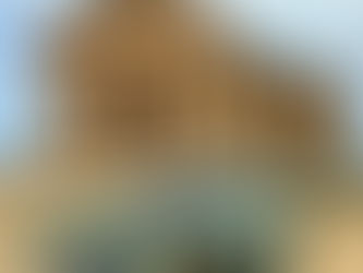 Agrigento & the Valley of the Temples 9th & 10th March