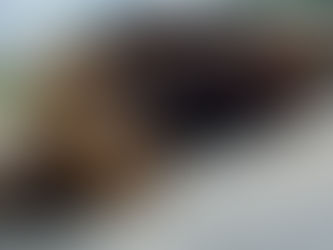 The Chile I was looking for!