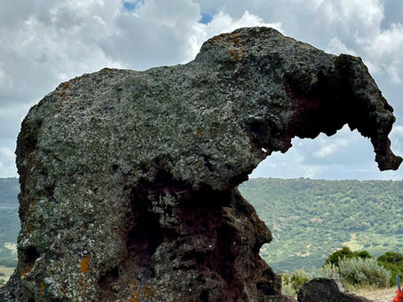 When is a tree a rock? 