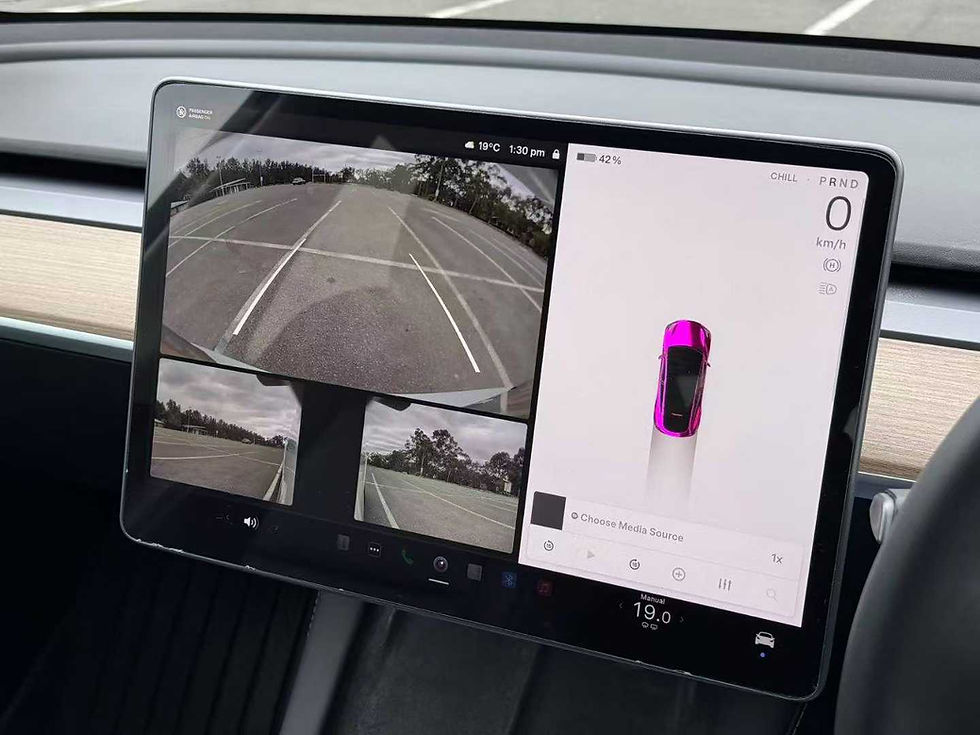 縮圖：2022 Tesla Model Y 