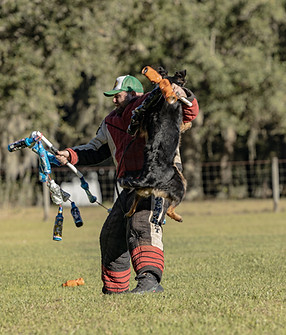 4A891848-C078-4184-97F4-36D9D80A0520.jpeg